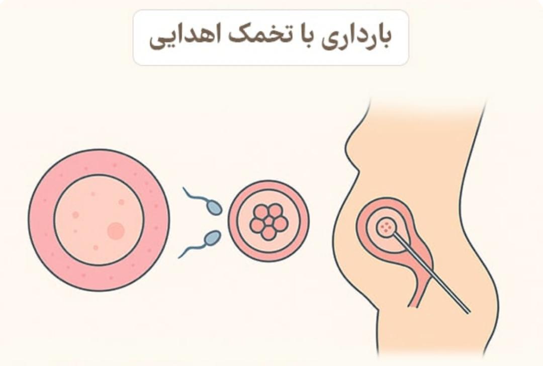 مرکز فوق تخصصی تخمک اهدایی و آی وی اف نور در تهران